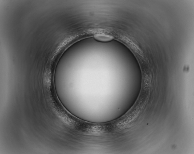 X0000101180064200806271301