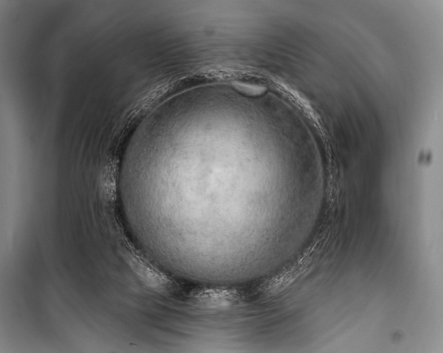 X0000101180065200806271301
