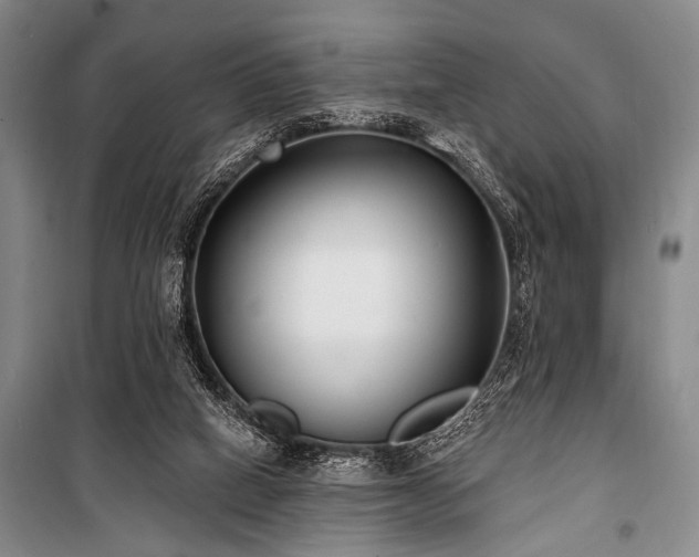 X0000101180066200806271301