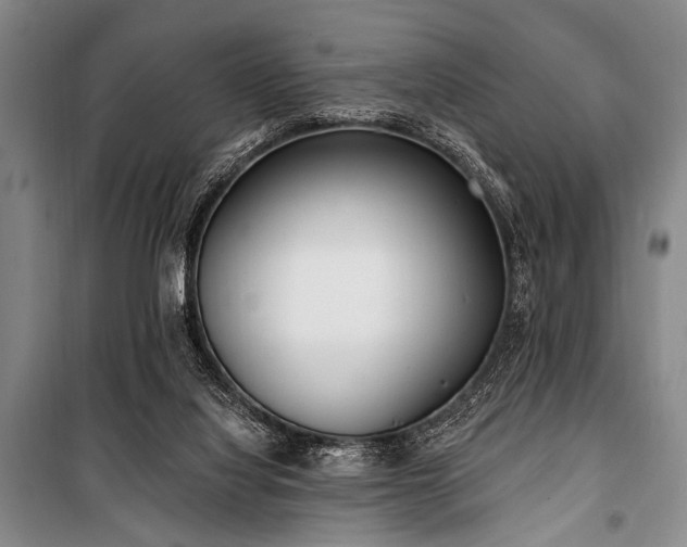 X0000101180068200806271301