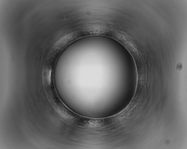 X0000101180070200806271301