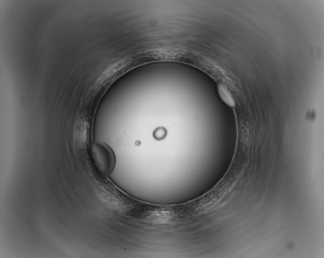 X0000101180071200806271301