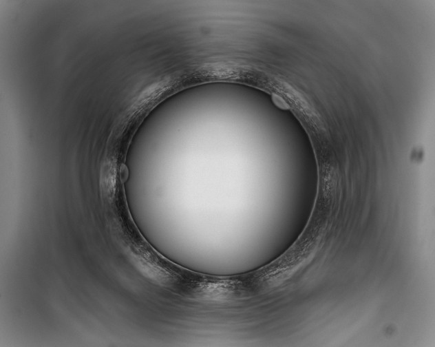X0000101180072200806271301