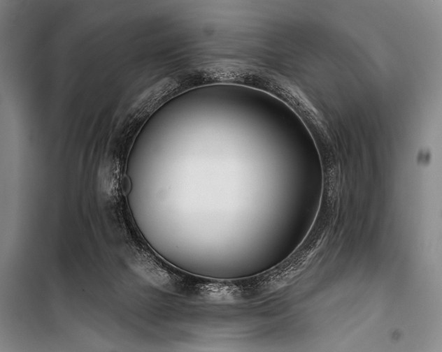 X0000101180073200806271301