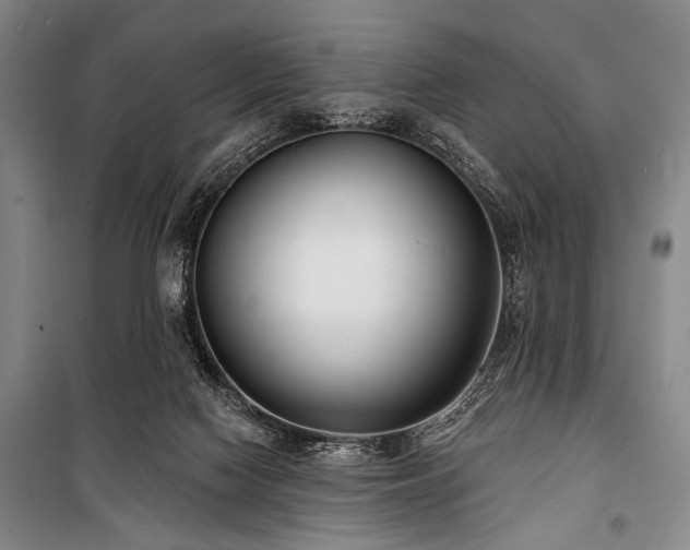 X0000101180074200806271301