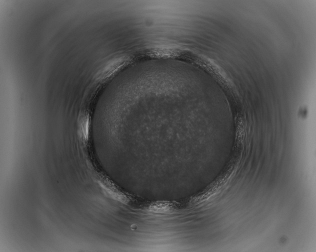 X0000101180076200806271301