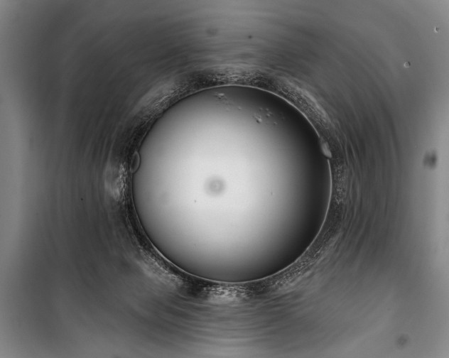 X0000101180077200806271301