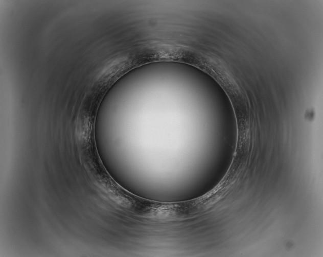 X0000101180078200806271301