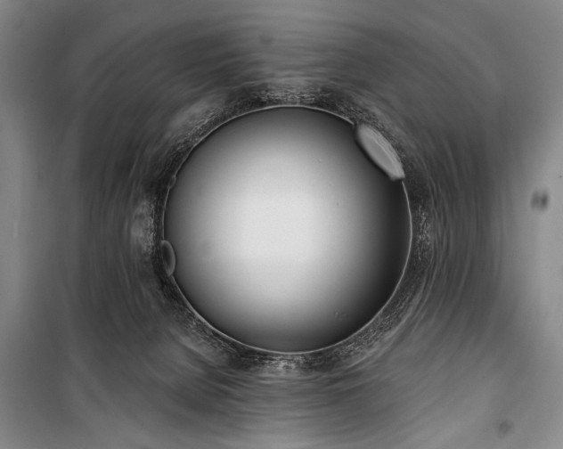 X0000101180080200806271301