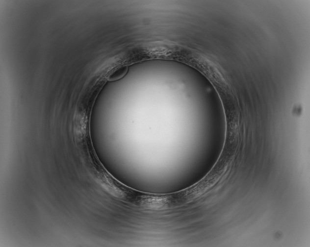 X0000101180081200806271301