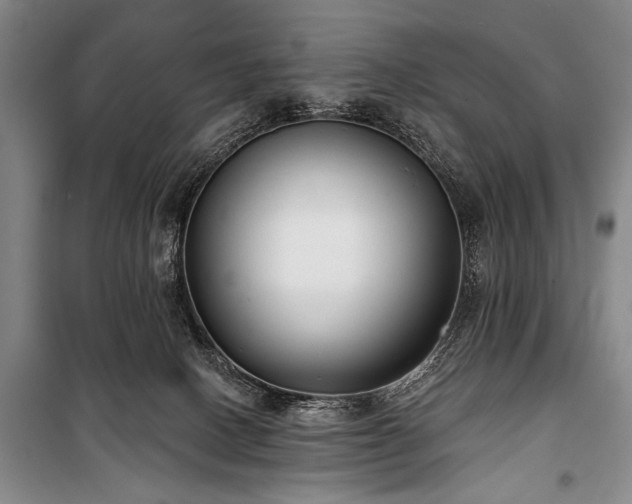 X0000101180082200806271301