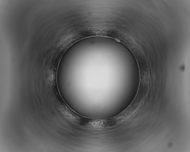 X0000101180084200806271302