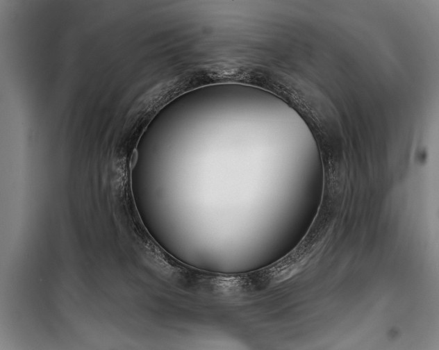 X0000101180085200806271302