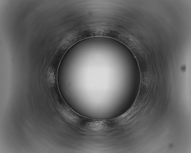 X0000101180086200806271302