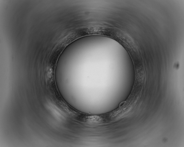 X0000101180087200806271302