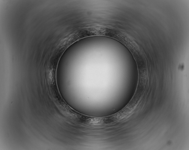 X0000101180088200806271302