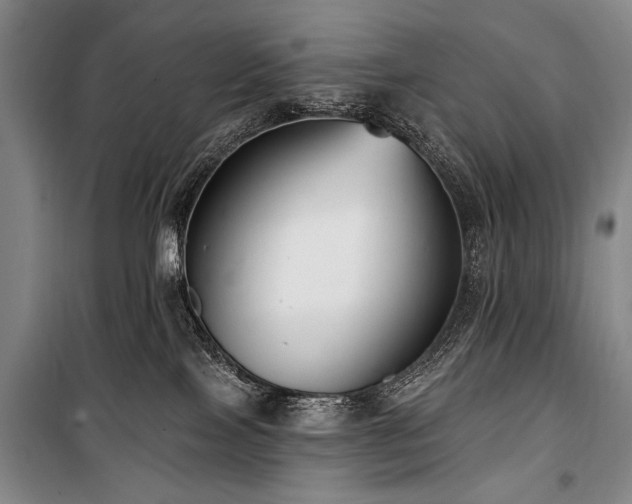 X0000101180089200806271302