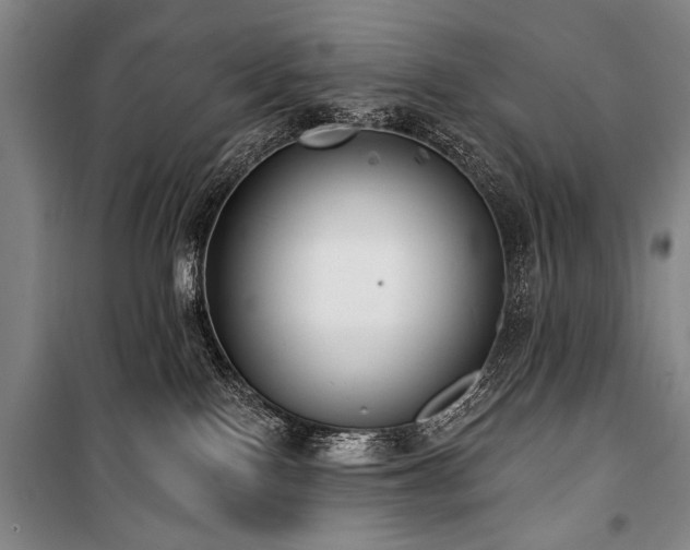 X0000101180090200806271302