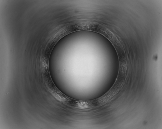 X0000101180091200806271302
