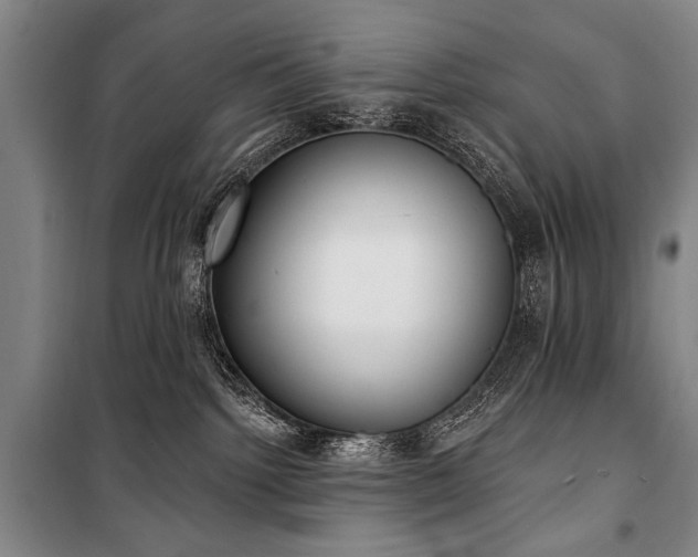 X0000101180092200806271302