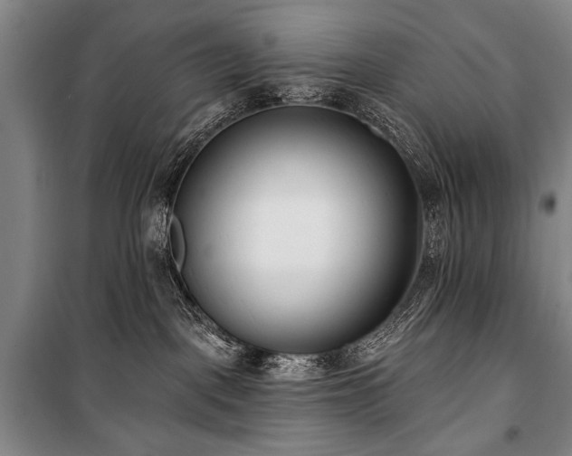 X0000101180093200806271302