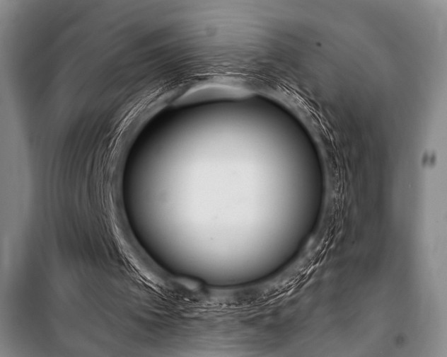 X0000101180097200806271301