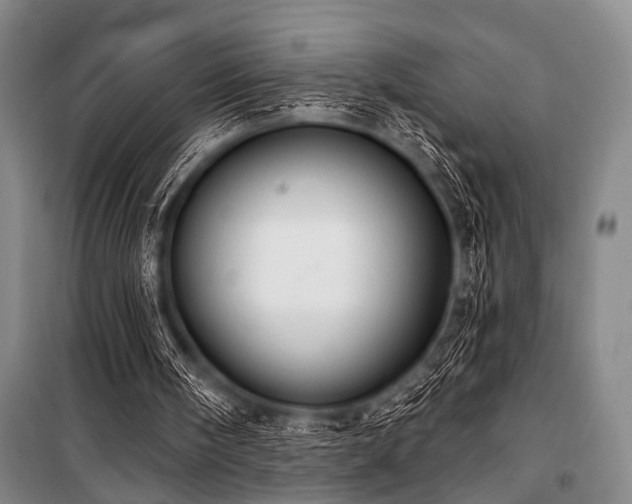 X0000101180098200806271301