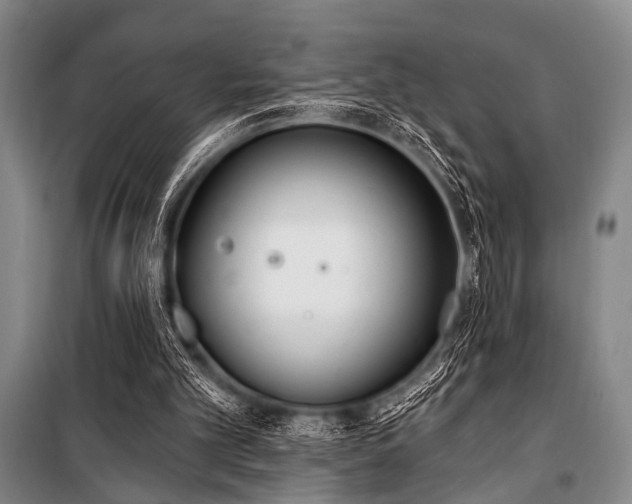X0000101180101200806271301