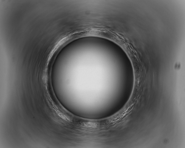 X0000101180102200806271301