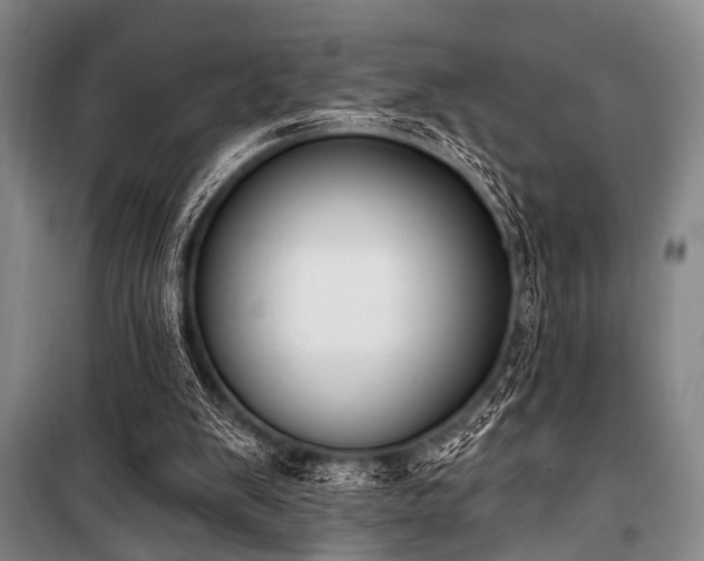 X0000101180103200806271301