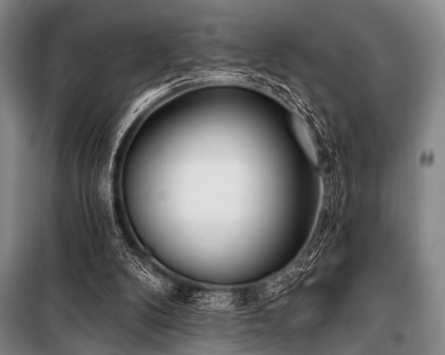 X0000101180104200806271301
