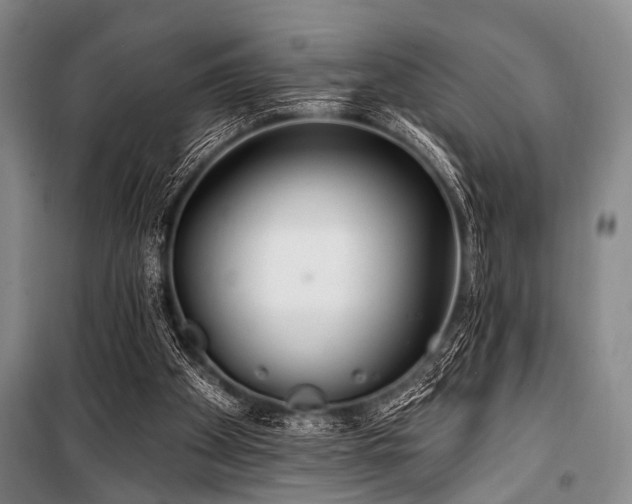 X0000101180105200806271301