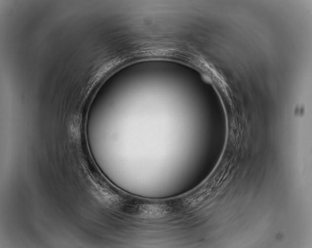 X0000101180107200806271301