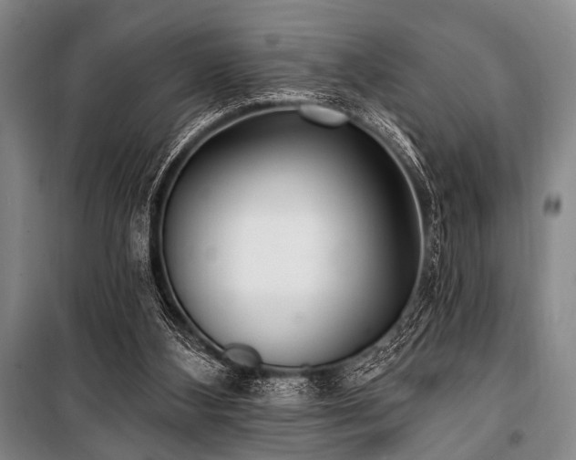 X0000101180108200806271301