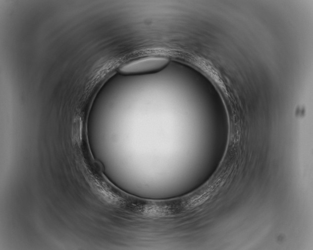 X0000101180109200806271301