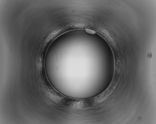 X0000101180116200806271301