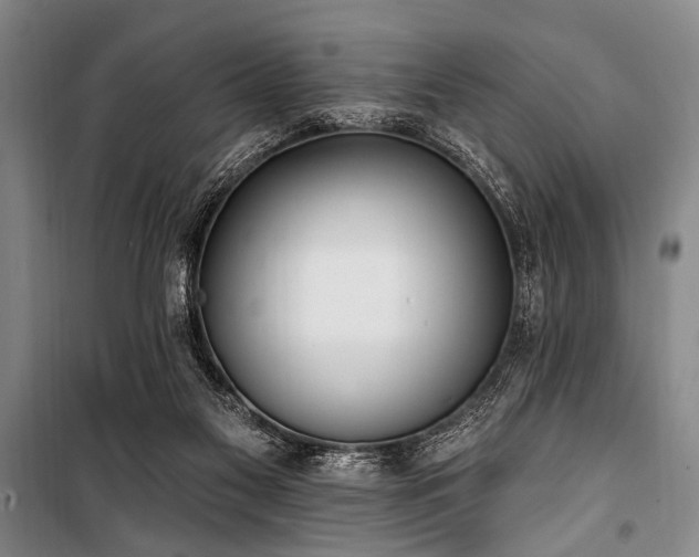 X0000101180117200806271301