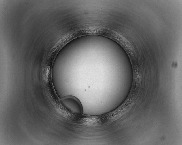 X0000101180118200806271301