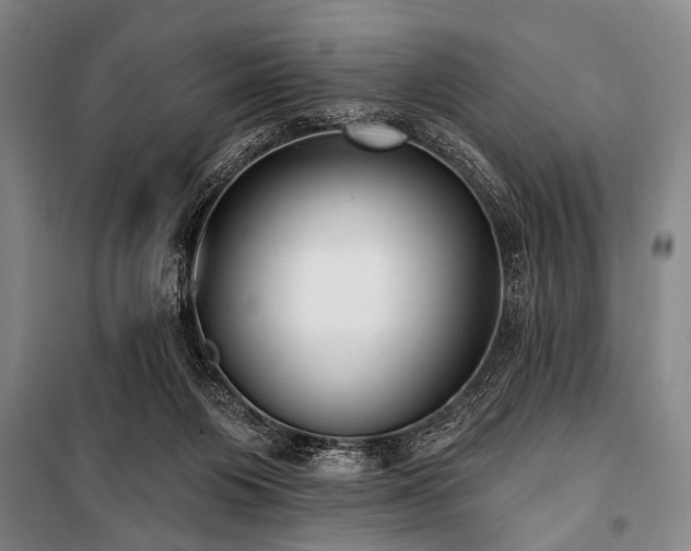 X0000101180119200806271301
