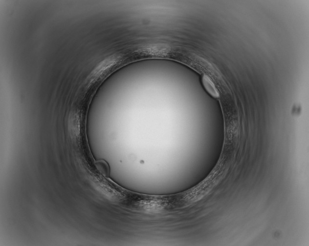 X0000101180120200806271301