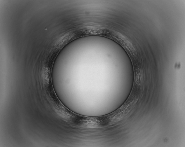 X0000101180121200806271301