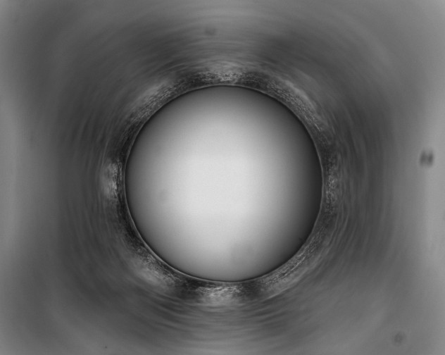 X0000101180122200806271301