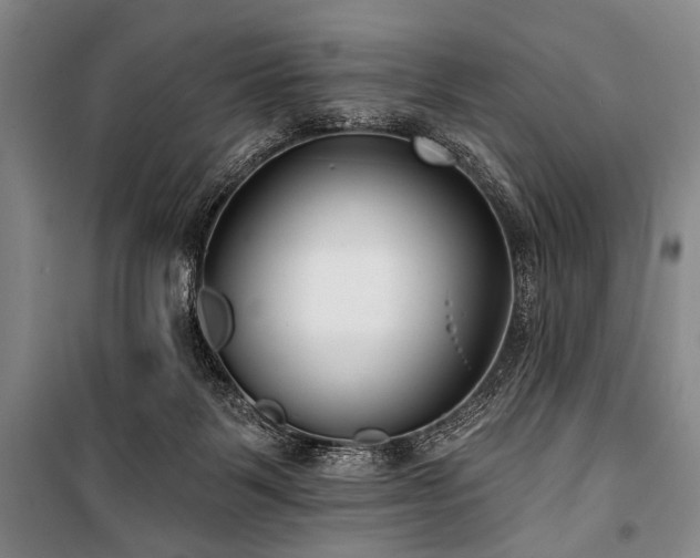 X0000101180123200806271301