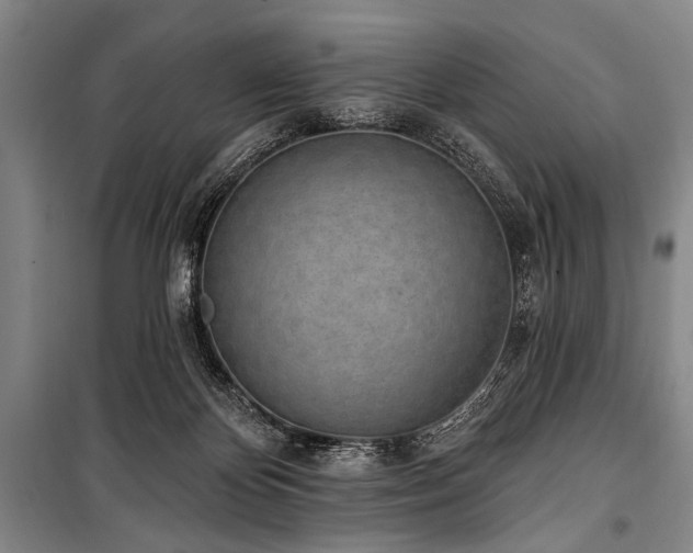 X0000101180124200806271301