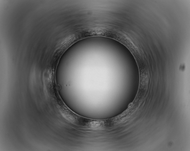 X0000101180126200806271301