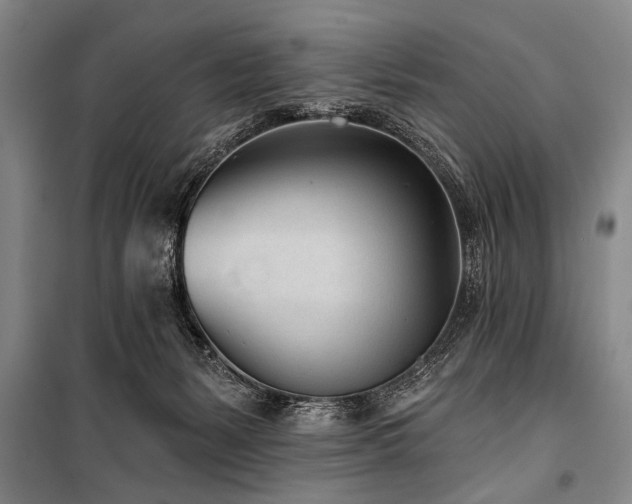 X0000101180127200806271301