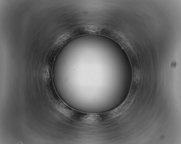 X0000101180128200806271301