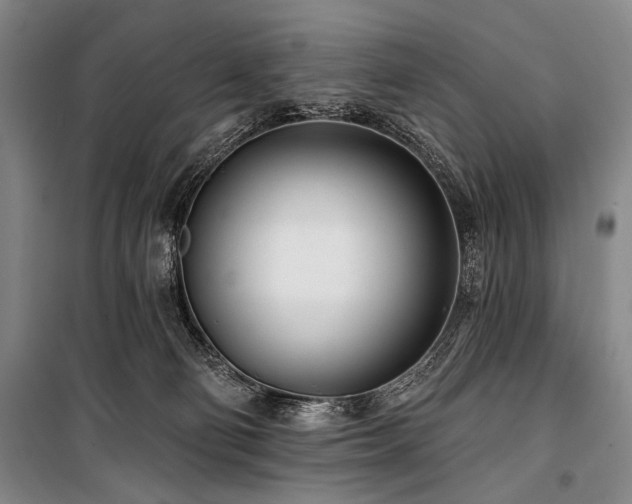 X0000101180130200806271301