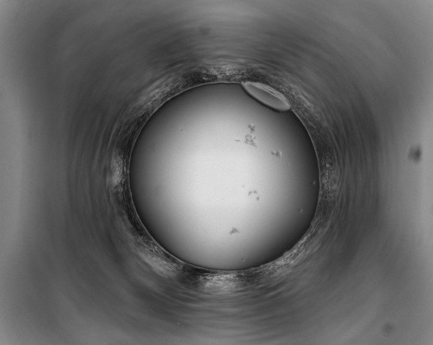X0000101180132200806271300