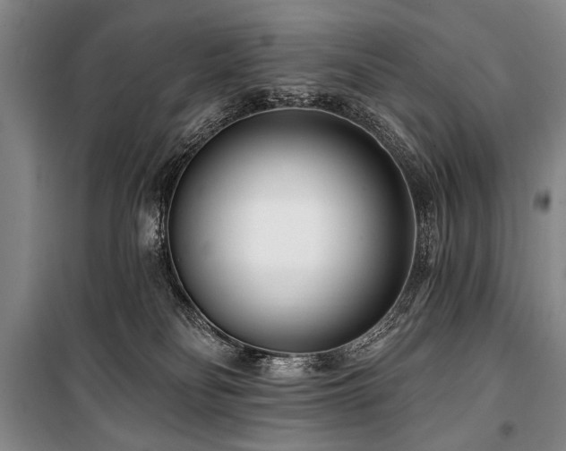 X0000101180134200806271300